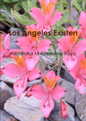 Los Angeles Existen <span> Alejandro M Riquelme Royo </span>