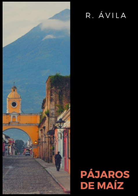 Pjaros de Ma'z <span> R. Á§vila </span> 1 Libro Pjaros de Ma'z R. Á§vila - KusiBooks