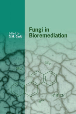 Libro Fungi in Bioremediation    - KusiBooks