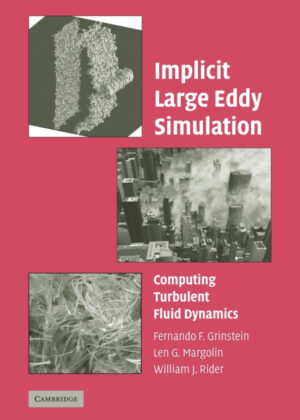Libro Implicit Large Eddy Simulation <span>  </span> - KusiBooks
