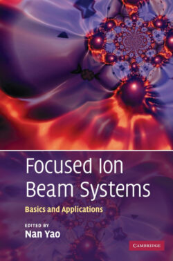 Libro Focused Ion Beam Systems    - KusiBooks