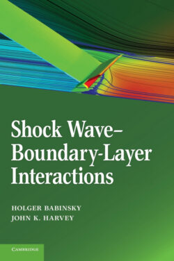 Libro Shock Wave-Boundary-Layer Interactions    - KusiBooks