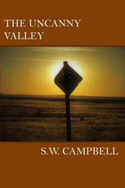 Libro The Uncanny Valley  S W Campbell  - KusiBooks