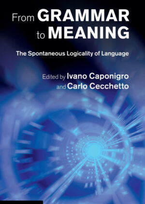 Libro From Grammar to Meaning <span>  </span> - KusiBooks