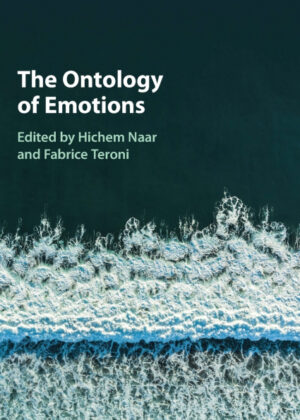 The Ontology of Emotions <span>  </span>