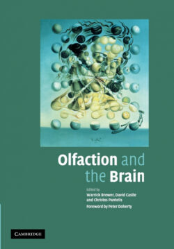 Libro Olfaction and the Brain    - KusiBooks