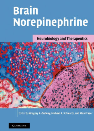 Brain Norepinephrine <span>  </span>