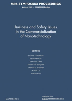 Libro Business and Safety Issues in the Commercialization of Nanotechnology <span>  </span> - KusiBooks