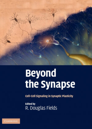 Beyond the Synapse <span>  </span>