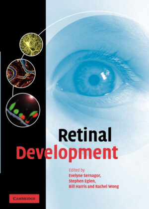 Retinal Development <span>  </span>