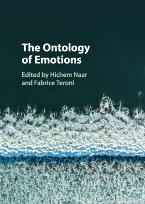 The Ontology of Emotions <span>  </span>