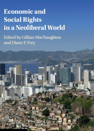 Libro Economic and Social Rights in a Neoliberal             World <span>  </span> - KusiBooks