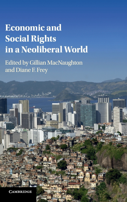 Economic and Social Rights in a Neoliberal World <span> </span> 1 Libro Economic and Social Rights in a Neoliberal World - KusiBooks