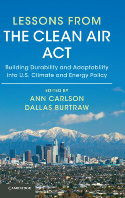 Libro Lessons from the Clean Air Act    - KusiBooks