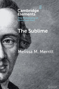 Libro The Sublime  Melissa McBay Merritt  - KusiBooks