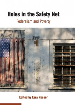 Libro Holes in the Safety Net <span>  </span> - KusiBooks