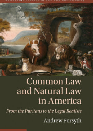 Common Law and Natural Law in America <span> Andrew Forsyth </span>
