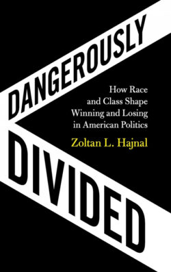 Libro Dangerously Divided  Zoltan L. Hajnal  - KusiBooks