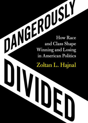 Libro Dangerously Divided <span> Zoltan L. Hajnal </span> - KusiBooks