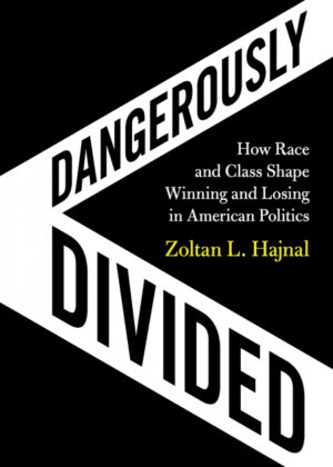 Libro Dangerously Divided <span> Zoltan L. Hajnal </span> - KusiBooks