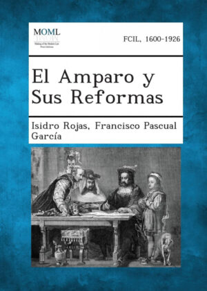 Libro El Amparo y Sus Reformas <span> Isidro Rojas/Francisco Pascual García </span> - KusiBooks