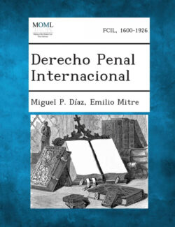 Libro Derecho Penal Internacional  Miguel P. Diaz/Emilio Mitre  - KusiBooks