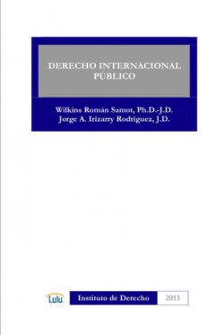 Libro DERECHO INTERNACIONAL PUBLICO  WILKINS ROMAN SAMOT/JORGE A. IRIZARRY RODRIGUEZ  - KusiBooks