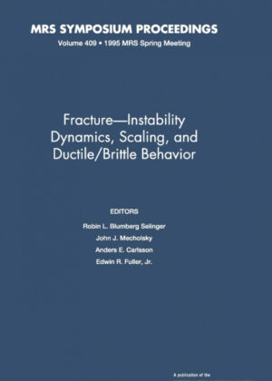 Libro Fracture-Instability Dynamics, Scaling and Ductile/Brittle Behavior <span>  </span> - KusiBooks
