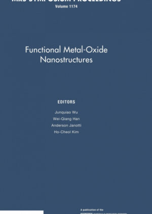 Libro Functional Metal-Oxide Nanostructures <span>  </span> - KusiBooks