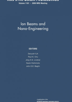 Libro Ion Beams Nano-Engineering v1181 <span>  </span> - KusiBooks