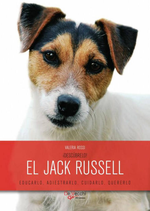 ¡Descúbrelo! El Jack Russell 1 Libro ¡Descúbrelo! El Jack Russell - KusiBooks