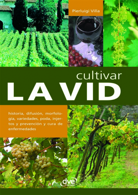 Cultivar la vid <span> Pierluigi Villa </span> 1 Libro Cultivar la vid Pierluigi Villa - KusiBooks