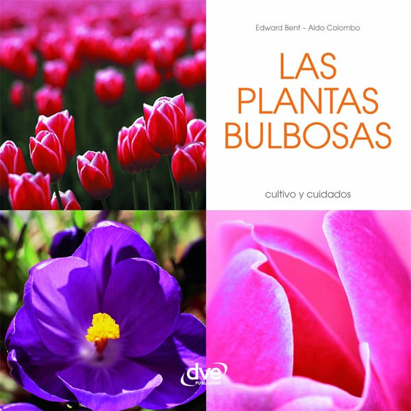 Las plantas bulbosas <span> Bent Aldo Colombo </span> 1 Libro Las plantas bulbosas Bent Aldo Colombo - KusiBooks
