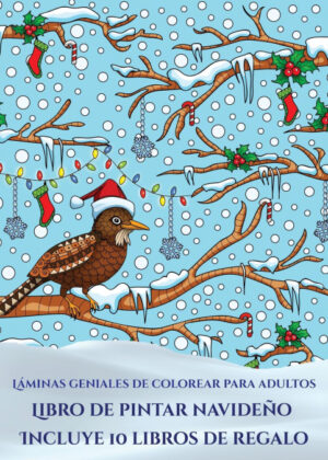 Libro Láminas geniales de colorear para adultos<span> Garcia Santiago </span> - KusiBooks