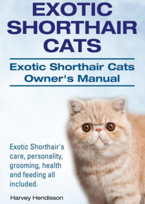Libro Exotic Shorthair Cats. Exotic Shorthair Cats Owner's Manual. Exotic Shorthair's care, personality, grooming, health and feeding all included. <span> Harvey Hendisson </span> - KusiBooks