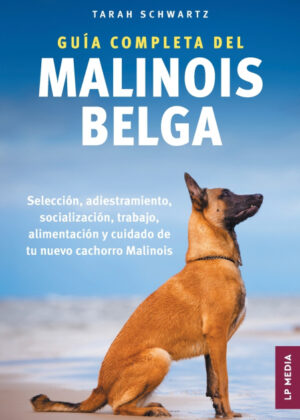Guía Completa Del Malinois Belga