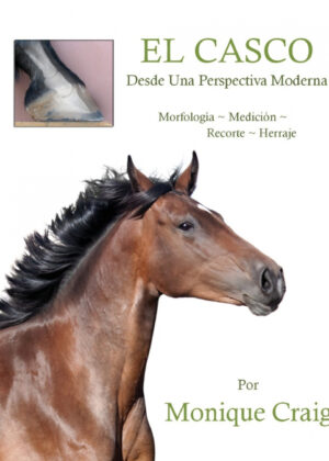 Libro EL CASCO...Desde Una Perspectiva Moderna <span> Monique Craig </span> - KusiBooks