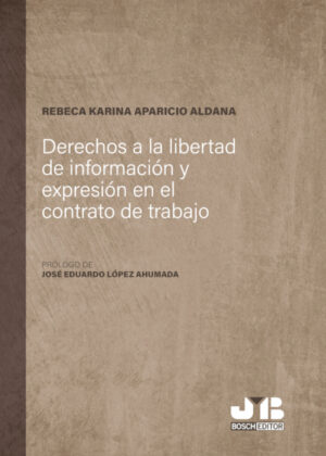Libro Derechos a la libertad de información y expresión en el contrato de trabajo <span> Rebeca Karina Aparicio Aldana </span> - KusiBooks