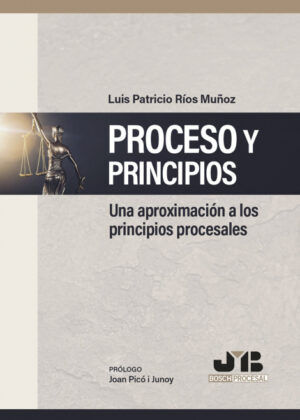 Libro Proceso y Principios <span> Luis Patricio Ríos Muñoz </span> - KusiBooks