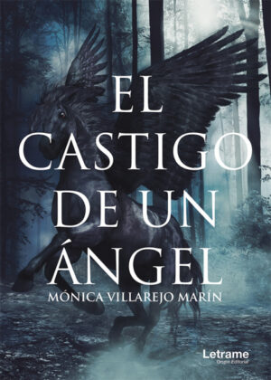 El castigo de un ángel <span> Mónica Villarejo Marín </span>