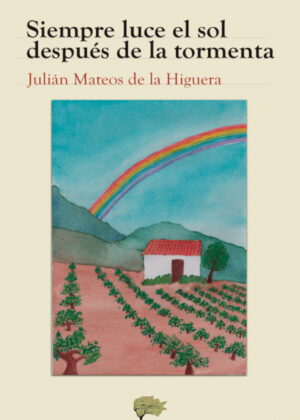 Siempre luce el sol después de la tormenta <span> Julián Mateos de la Higuera </span>