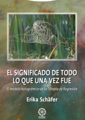 Libro El significado de todo lo que una vez fue <span> Erika SchÁ¤fer </span> - KusiBooks