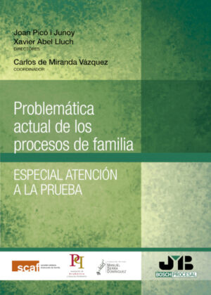 Libro Problemática actual de los procesos de familia. <span> Xavier Abel Lluch/Carlos de Miranda Vázquez/Joan Picó i Junoy </span> - KusiBooks