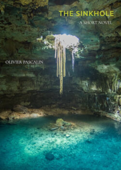 Libro A Short Novel  Olivier Pascalin  - KusiBooks