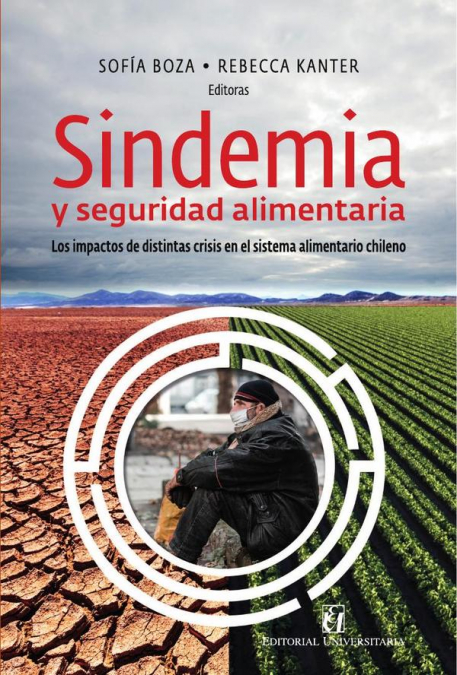 Sindemia Y Seguridad Alimentaria 1 Libro Sindemia Y Seguridad Alimentaria - KusiBooks