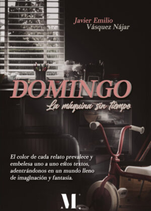 Domingo. <span> Javier Emilio Vásquez Nájar </span>